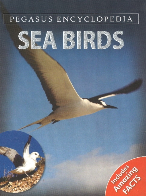 Sea Birds, Hardback Book
