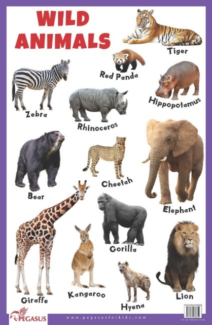 Wild Animals Educational Chart, Poster Book