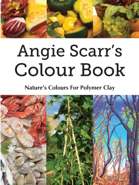 Angie Scarr's Colour Book : Nature's Colours For Polymer Clay, Paperback / softback Book