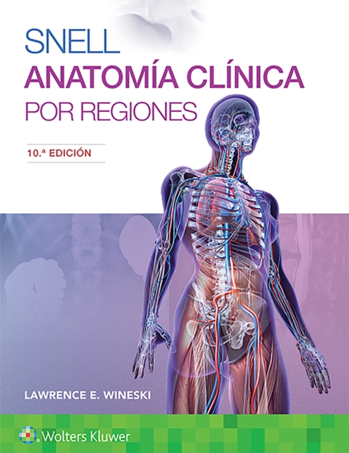 Snell. Anatomia clinica por regiones, Paperback / softback Book