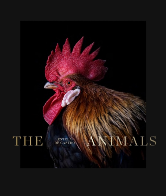 Animals: Estela de Castro, Hardback Book