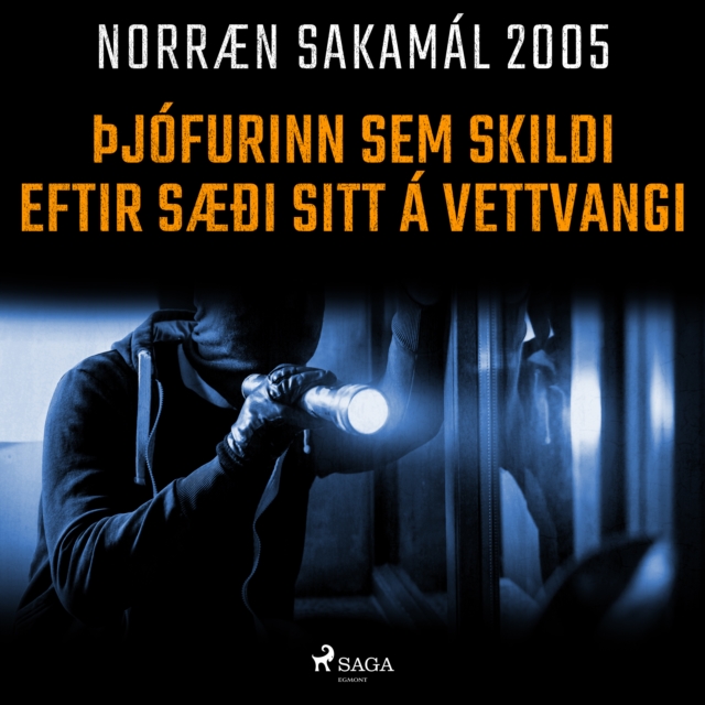 Þjofurinn sem skildi eftir saeði sitt a vettvangi : Norraen Sakamal 2005, eAudiobook MP3 eaudioBook