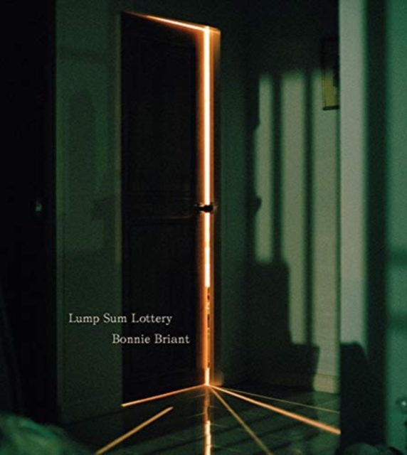 Bonnie Briant: Lump Sum Lottery, Hardback Book