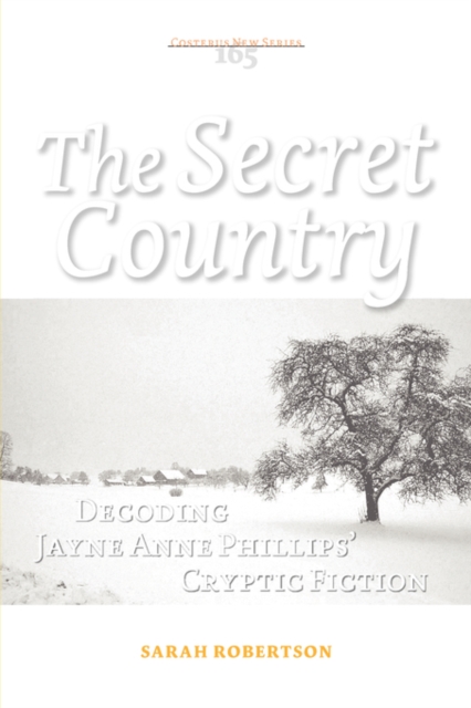 The Secret Country : Decoding Jayne Anne Phillips' Cryptic Fiction, Paperback / softback Book