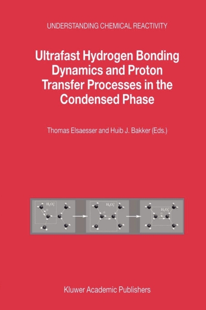 Ultrafast Hydrogen Bonding Dynamics and Proton Transfer Processes in the Condensed Phase, Paperback / softback Book