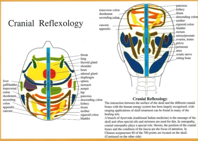 Cranial Reflexology -- A4, Poster Book