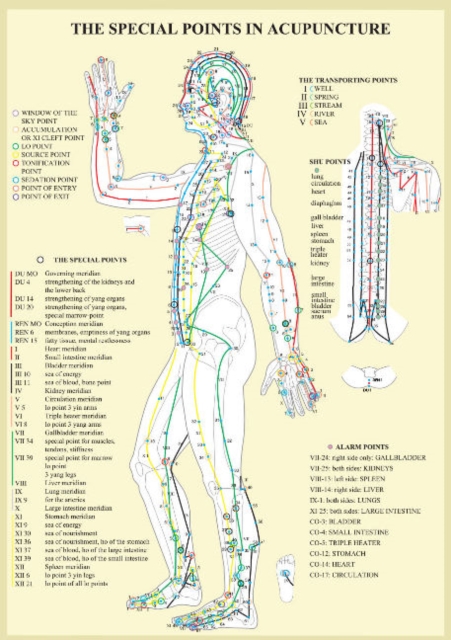 Special Points in Acupunture -- A4, Poster Book