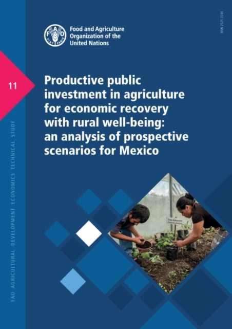 Productive public investment in agriculture for economic recovery with rural well-being : an analysis of prospective scenarios for Mexico, Paperback / softback Book