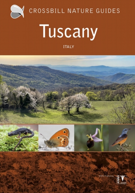 Tuscany : Italy, Paperback / softback Book