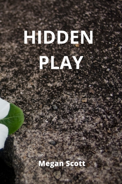 Hidden Play, Paperback / softback Book