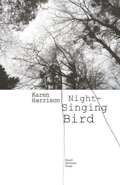 Night-Singing Bird, Paperback / softback Book