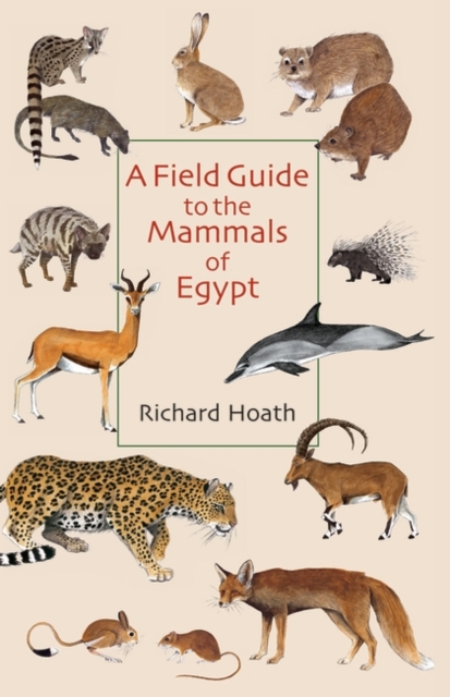 A Field Guide to the Mammals of Egypt, Hardback Book