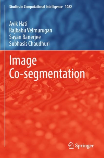 Image Co-segmentation, Paperback / softback Book