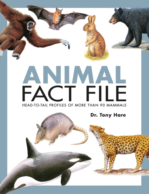 Animal Fact File, Paperback / softback Book