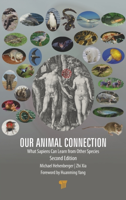 Our Animal Connection : What Sapiens Can Learn from Other Species, Hardback Book