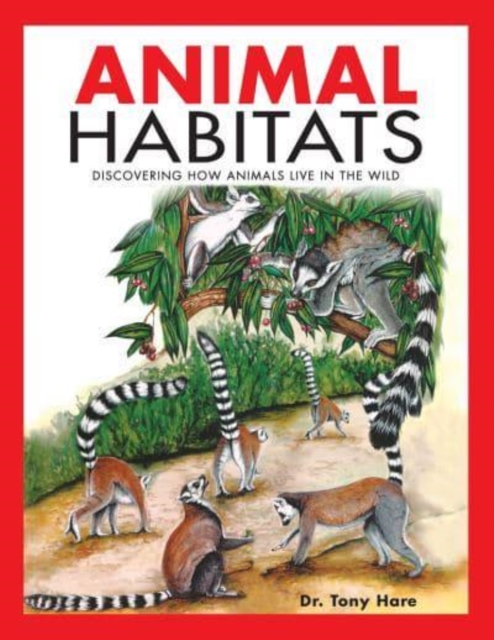 Animal Habitats : Discovering How Animals Live in the Wild, Paperback / softback Book
