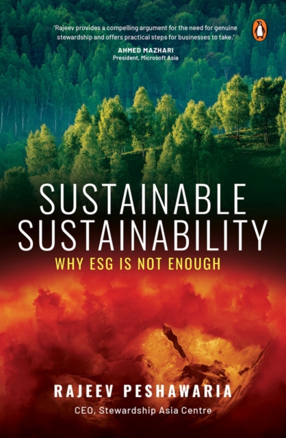 Sustainable Sustainability : Why ESG is Not Enough, Paperback / softback Book