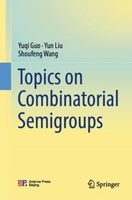 Topics on Combinatorial Semigroups, Hardback Book