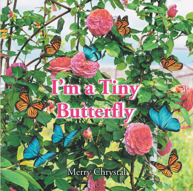 I'm a Tiny Butterfly, EPUB eBook