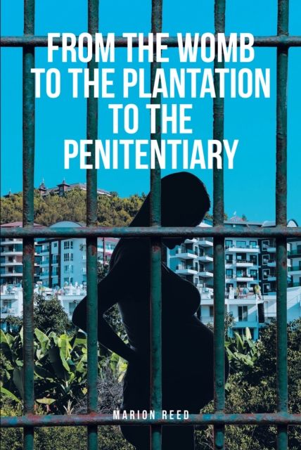 From the Womb to the Plantation to the Penitentiary, EPUB eBook