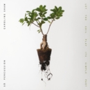 Caroline Shaw: Let the Soil Play Its Simple Part - CD