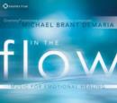 In the Flow: Music for Emotional Healing - CD