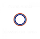 Transparent Things - CD
