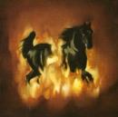 The Besnard Lakes Are the Dark Horse - CD