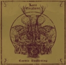 Cosmic awakening - CD