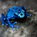 Cerulean - CD