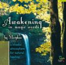 Awakening in Magic Woods - CD