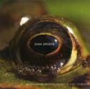 Frog's Eye (Rose, Boston Modern Orchestra Project) - CD