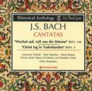 J.S. Bach: Cantatas - CD