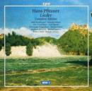 Lieder - Complete Edition (Kaufmann, Sulzen, Vermillion) - CD