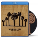The Pineapple Thief: Nothing But the Truth - Blu-ray