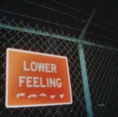Lower Feeling - Vinyl