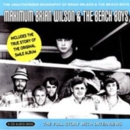 Maximum Brian Wilson and the Beach Boys - CD