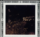 Pale Bloom - Vinyl