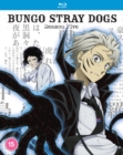 Bungo Stray Dogs: Season Five - Blu-ray