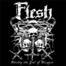 Worship the Soul of Disgust - CD