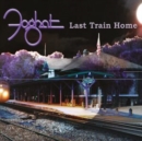 Last Train Home - Vinyl