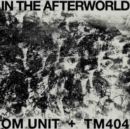 In the Afterworld - Vinyl