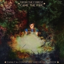 From the Forest Came the Fire - CD