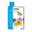 Nanoblock Pokemon Raikou - Book