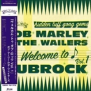 Welcome to Dubrock - Vinyl