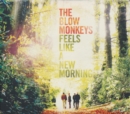 Feels Like a New Morning - CD