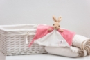 Flopsy Bunny Baby Comfort Blanket - Book