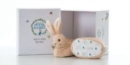 Peter Rabbit Booties Gift Set - Book