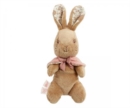 Flopsy Small Soft Toy - Book