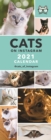 Cats on Instagram Slim Calendar 2021 - Book